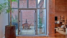 a living room filled with furniture and a tall plant in front of a glass door