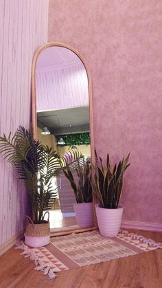 a mirror sitting on top of a wooden floor next to a potted plant