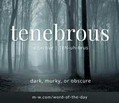 a dark forest with the words tenebrous above it