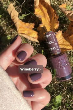 DND Wineberry Fall Nails 2024 capture the rich, luxurious hues of autumn with their stunning wineberry shade. This deep, vibrant color evokes the warmth and comfort of fall, making it a perfect choice for cozy gatherings and seasonal celebrations. Ideal for creating sophisticated manicures, the Wineberry polish offers a glossy finish that adds a touch of elegance to any look. Nail Colors November, Call Nail Colors 2024, Gel Nail Colors For Fall, Wineberry Dnd, Dnd Nail Ideas, Wineberry Nails, Popular Fall Nail Colors 2024, Fall Sns Nails 2024, Nail Colors Fall 2024