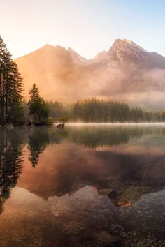 the mountains are covered with mist and trees in the foreground, while the water is still calm