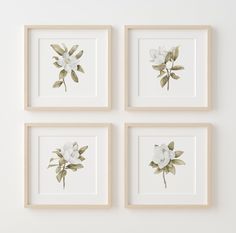 four framed pictures with white flowers on them