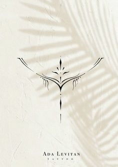 the shadow of a bird on a white wall with text above it that reads, adam levi