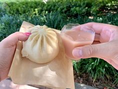 a person holding up a small dumpling in their hand