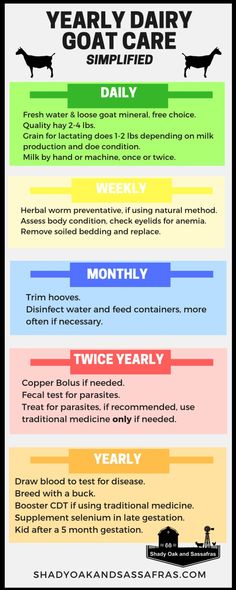 a poster with different types of dogs and their health benefits in the form of an info sheet