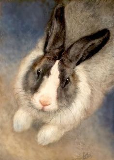 a white and gray rabbit is looking up at the camera with his ears hanging back