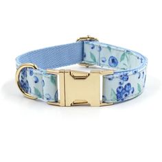 a blue floral dog collar with gold hardware on an isolated white background, the collar has a flower pattern and is attached to a metal buckle