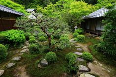 a small garden with rocks and trees in it