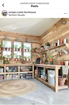 a room filled with lots of potted plants and pots on shelves next to windows