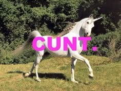 a white horse with pink lettering on it's face is running in the grass