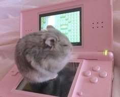 a hamster sitting on top of a pink nintendo wii game system with its head in the screen