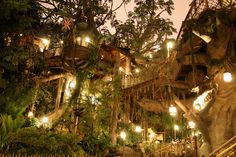 the tree house is lit up at night