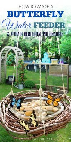 the cover of how to make a butterfly water feeder and attract beneficial pollminators