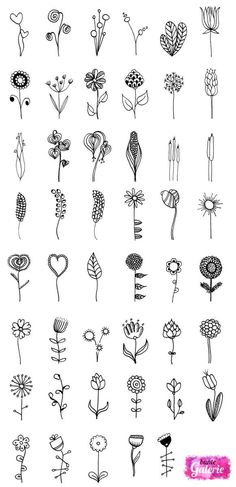 various flowers drawn in black ink on white paper, each with different shapes and sizes