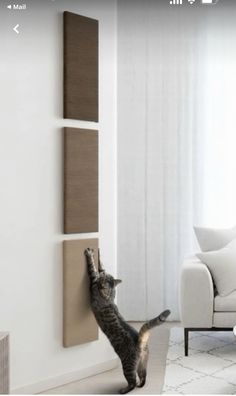 a cat that is standing on its hind legs in front of a wall mounted panel