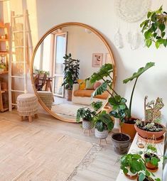 a living room filled with lots of potted plants next to a large round mirror