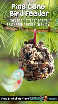 Make a pinecone bird feeder craft with this easy nature project for kids. Your fine feathered bird friends will love the treat! Squirrel Activities, Bird Crafts For Kids, Bonfire Ideas, Squirrel Food, Ranger Rick, Pine Cone Bird Feeder