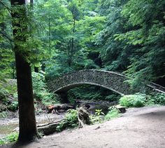 a stone bridge in the middle of a forest