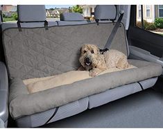 a dog laying in the back seat of a car