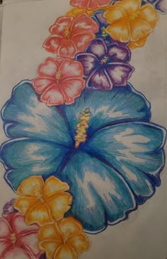 a drawing of flowers on paper with colored pencils