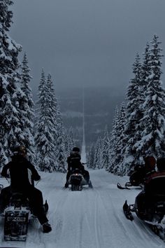 three people riding snowmobiles on a snowy road