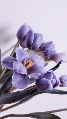 purple flowers are in a vase on a table