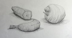 two pencil drawings of garlic and an onion