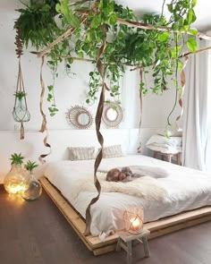 a bed with plants hanging from it's sides and lights on the wall above