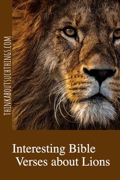 an image of a lion with the words interesting bible verses about lions