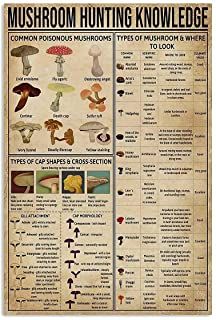 mushroom hunting poster with information about the different types of mushrooms and how to use them