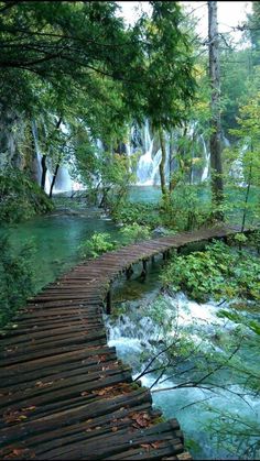 a wooden bridge over a stream in the woods