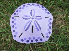 a purple and white sand dollar sitting on top of some green grass with polka dots