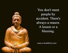 a buddha statue with the quote you don't meet people by accident there's always a reason