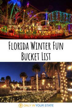 the florida winter fun bucket list with lights and palm trees in front of a building