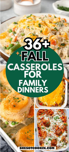 Photo collage with cozy fall dinnner casseroles with text overlay. Cheap Dinners Casseroles, Dinner Bake Ideas, Best Casseroles Dinners, Easy Dinner Recipes For Family Casserole, Easy Dinner Recipes Comfort Foods, Different Casserole Recipes, Quick Comfort Food Recipes, Easy Casserole Recipes For Thanksgiving, Dinner For Fall Weather