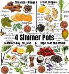 the four different types of fruit and vegetables are shown in this poster, which includes oranges, lemons, cinnamons, ginger, cloves, rosemary, pineapple