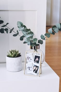 a white vase with some plants and pictures on it next to a planter filled with leaves