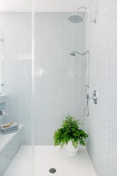 a white tiled bathroom with a plant in the shower