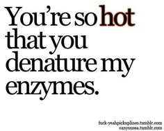 the words you're so hot that you denature my enzymes