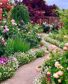 a garden filled with lots of different types of flowers