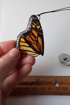 a hand holding a small butterfly on a string next to a ruler and other items