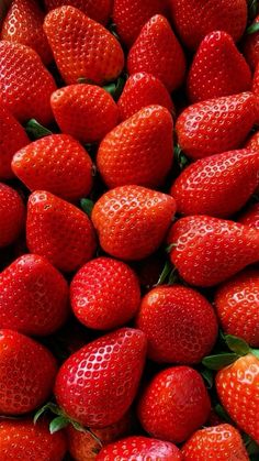 a bunch of red strawberries in a bowl