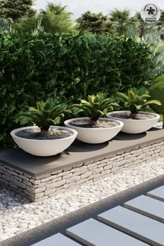 three white bowls with plants in them sitting on a stone wall next to some bushes