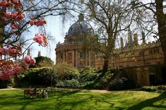 people sitting on benches in front of a large building with trees and flowers around it