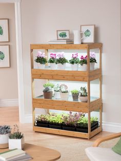 a wooden shelf filled with potted plants on top of a hard wood floor