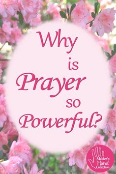 pink flowers with the words why is prayer so powerful?