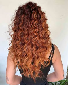 Ombre On Curly Hair, Ombré Hair Curly, Copper Natural Curly Hair, Curly Red Balayage, Red Hair Ombre Balayage, Ombre For Curly Hair, Copper Balayage Curly Hair, Red Hair Ombre, Curly Hair Ombre