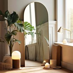 a large mirror sitting on top of a wooden floor next to a potted plant