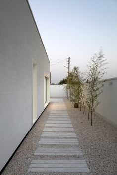 an empty walkway between two buildings with trees on each side and one building in the background