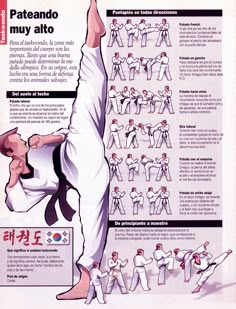 the instructions for how to do karate